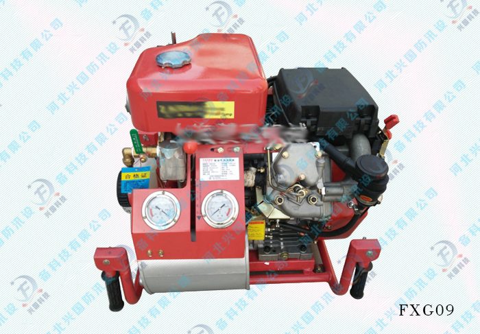 柴油手臺(tái)機(jī)動(dòng)泵